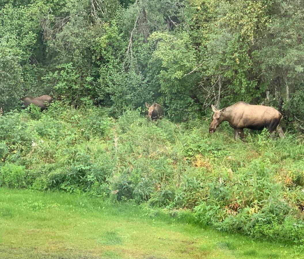 Alaska Grizzly Lodge Fairbanks Eksteriør billede
