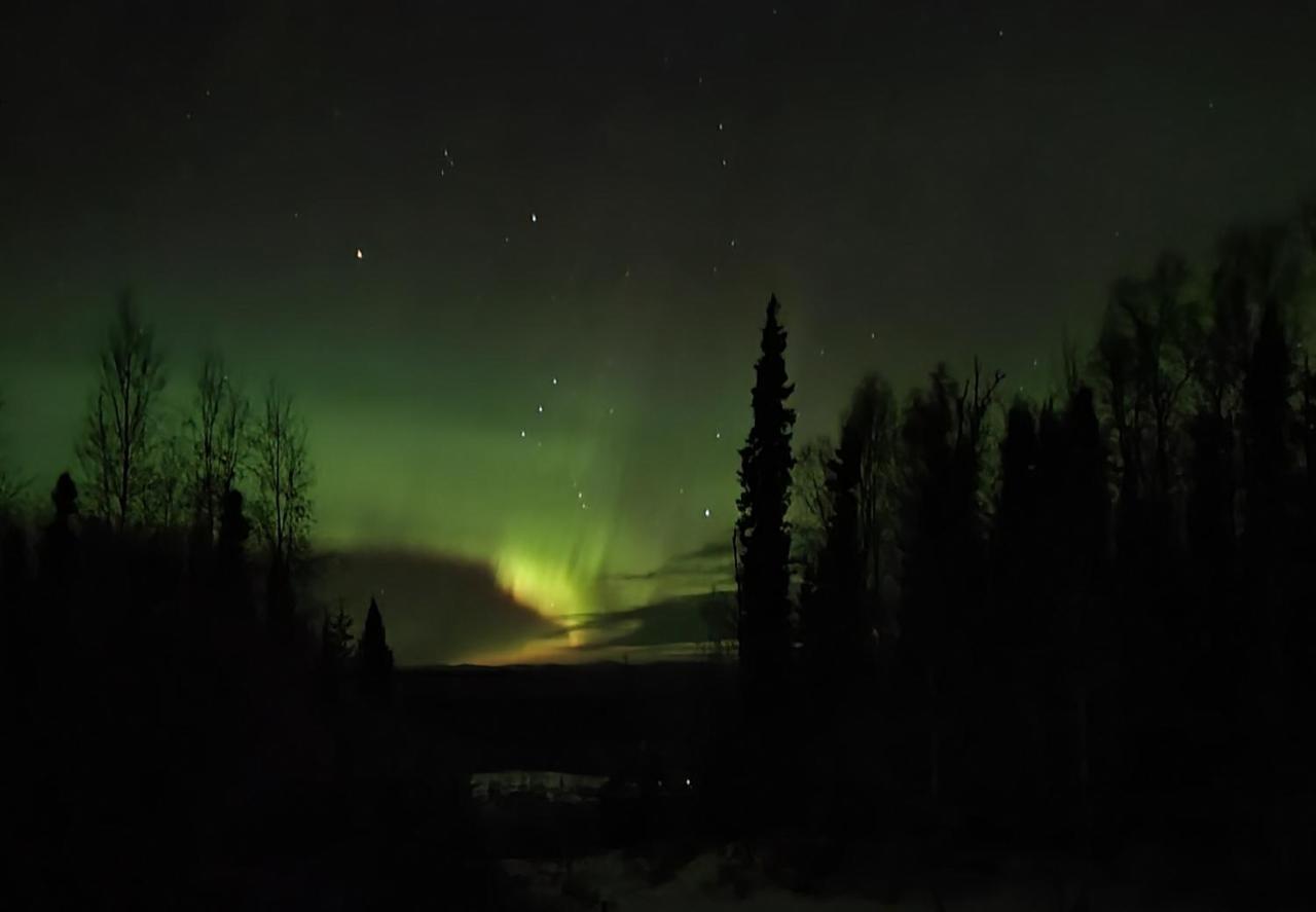 Alaska Grizzly Lodge Fairbanks Eksteriør billede